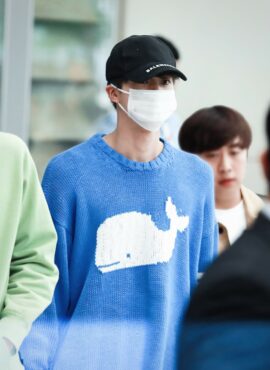 Grey Banded Sleeves Whale Sweater | Jin - BTS